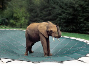 elephant on pool cover